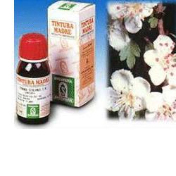 BIANCOSPINO 10 50ML TM - Farmavicinoate