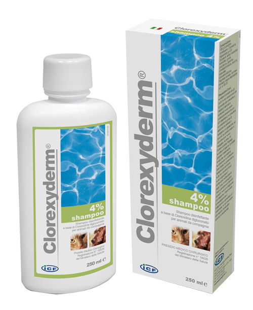 CLOREXYDERM SHAMPOO 4% 250 ML - Farmavicinoate
